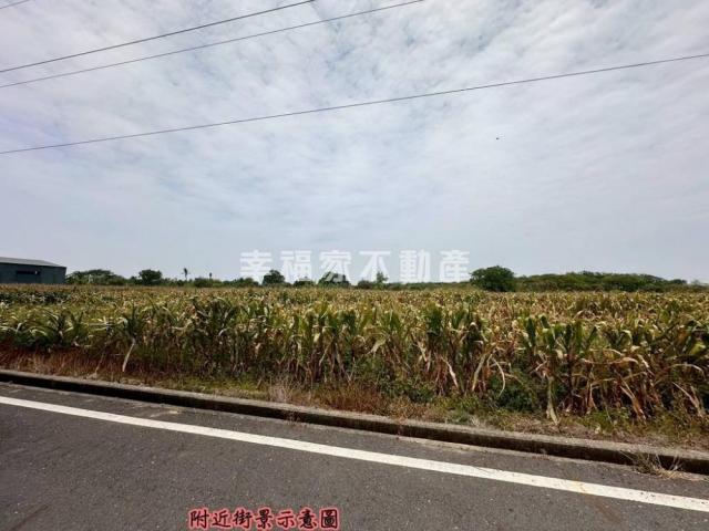 台南房仲晴媛 專-安定國中旁徵收區農地A 照片 1