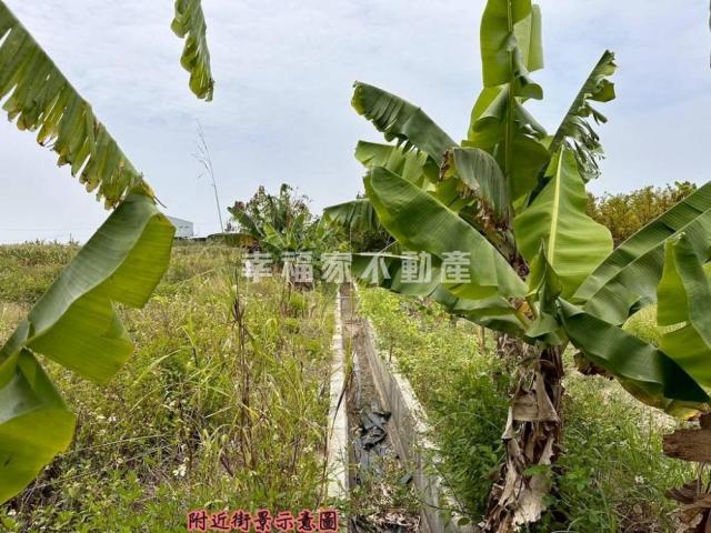 台南房仲晴媛 專-安定國中旁徵收區農地A 照片 12