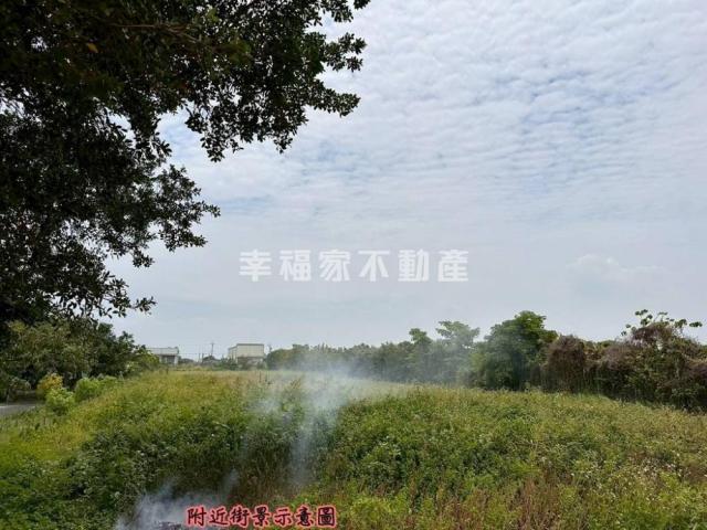 台南房仲晴媛 專-安定國中旁徵收區農地A 照片 16