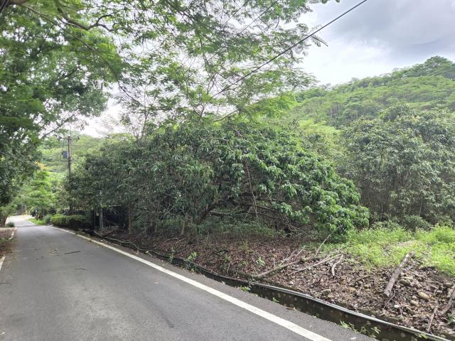 專【近旗山財神廟、旗甲公路、郡陽宮】山坡林業用地 照片 1