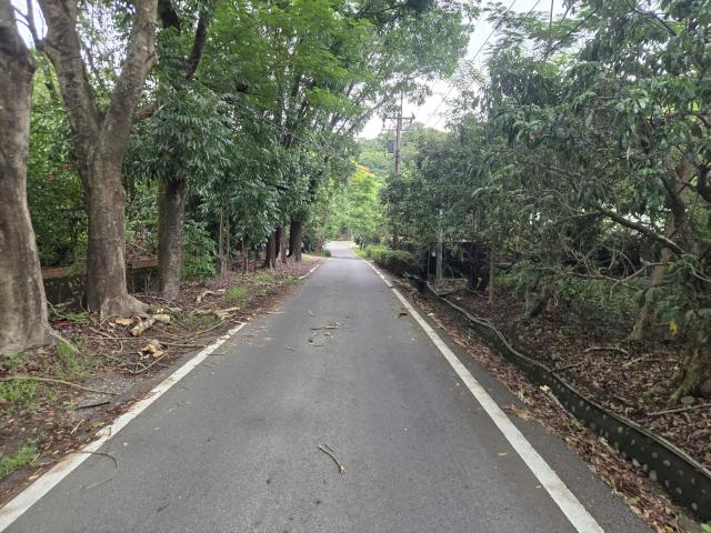 專【近旗山財神廟、旗甲公路、郡陽宮】山坡林業用地 照片 2