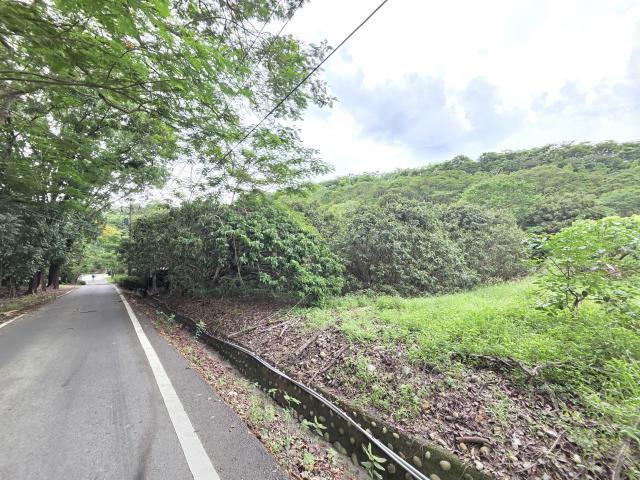 專【近旗山財神廟、旗甲公路、郡陽宮】山坡林業用地 照片 3