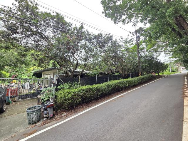 專【近旗山財神廟、旗甲公路、郡陽宮】山坡林業用地 照片 6