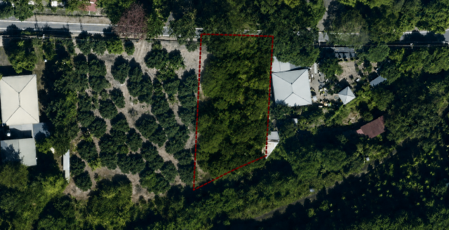 專【近旗山財神廟、旗甲公路、郡陽宮】山坡林業用地 照片 16