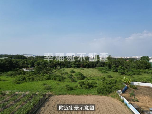 歸仁區凱旋段大面積農地 照片 2