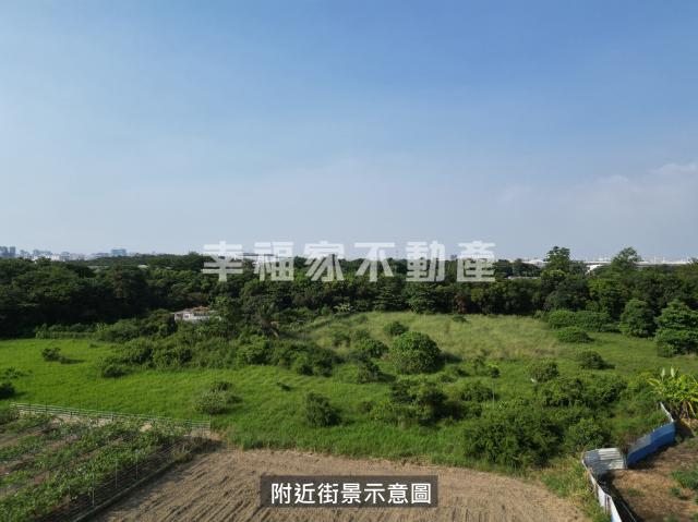 歸仁區凱旋段大面積農地 照片 3
