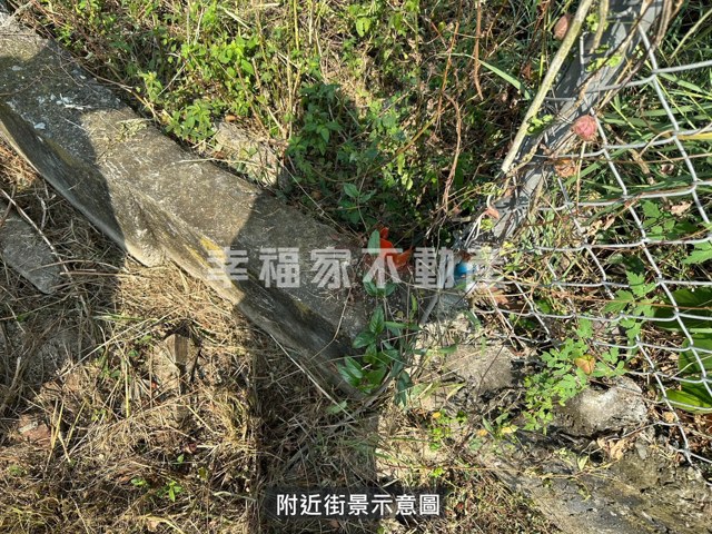 歸仁小規模長照用地 照片 12