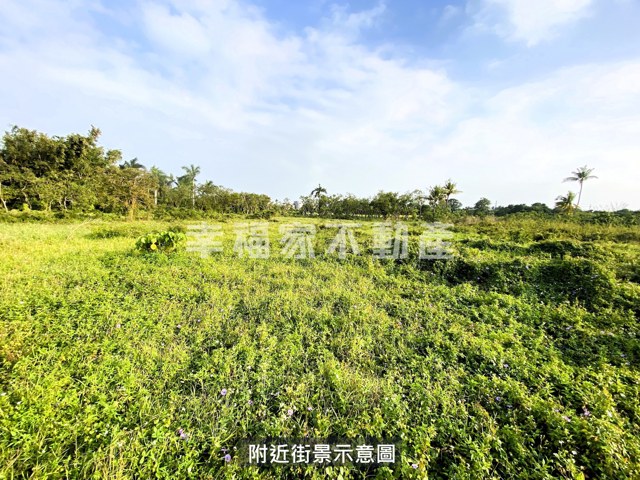 歸仁區段徵收210農地 照片 1