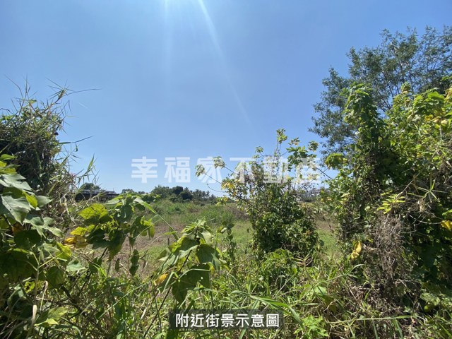 歸仁區段徵收210農地 照片 2