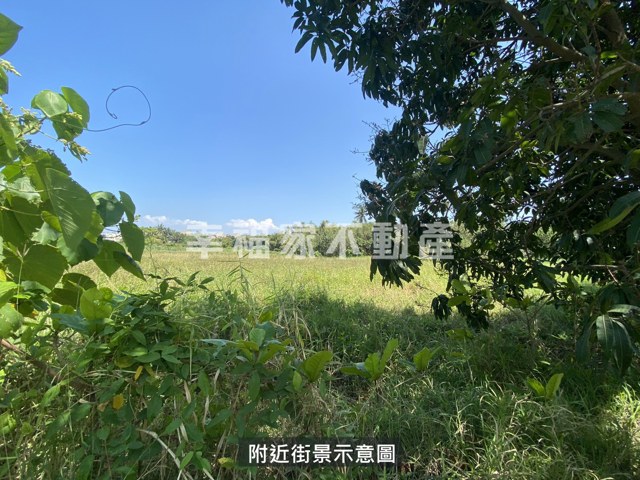 歸仁區段徵收210農地 照片 3