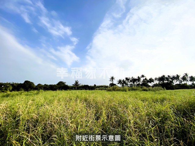 歸仁區段徵收210農地 照片 4