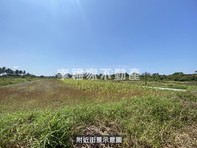 歸仁區段徵收210農地 照片 5