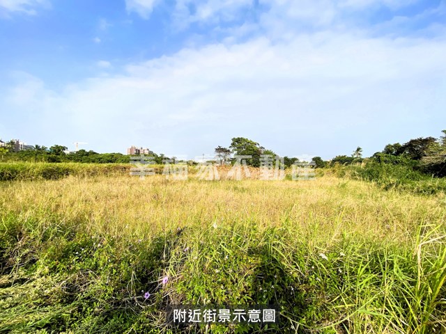 歸仁區段徵收210農地 照片 6