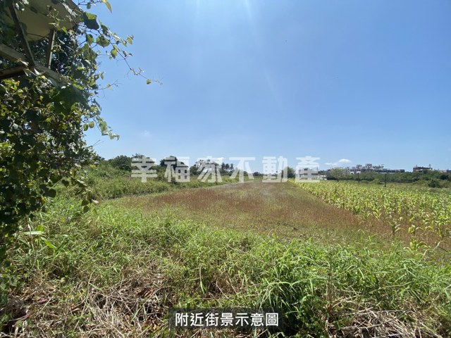 歸仁區段徵收210農地 照片 7