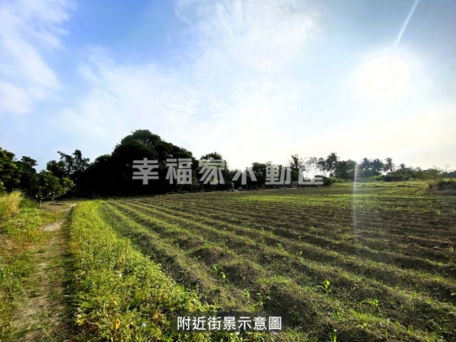 歸仁區段徵收210農地 照片 8