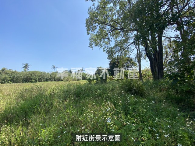 歸仁區段徵收210農地 照片 9
