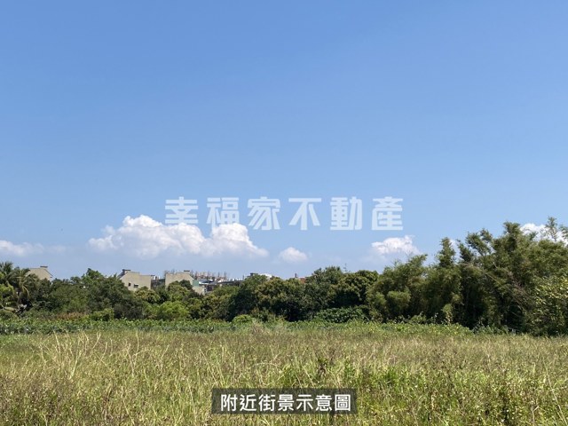 歸仁區段徵收210農地 照片 10