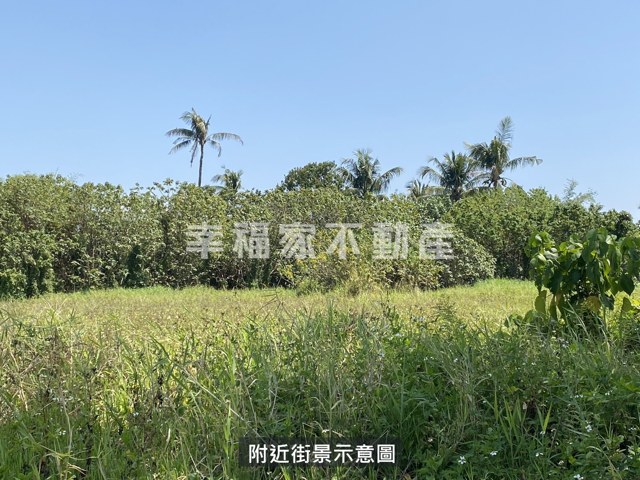 歸仁區段徵收210農地 照片 11