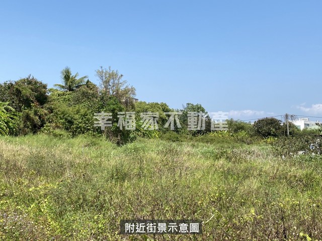 歸仁區段徵收210農地 照片 12