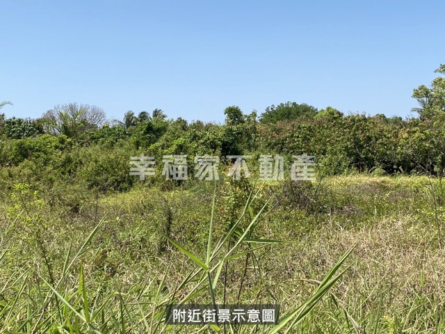 歸仁區段徵收210農地 照片 13