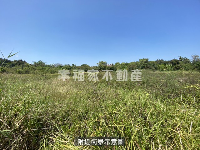歸仁區段徵收210農地 照片 14