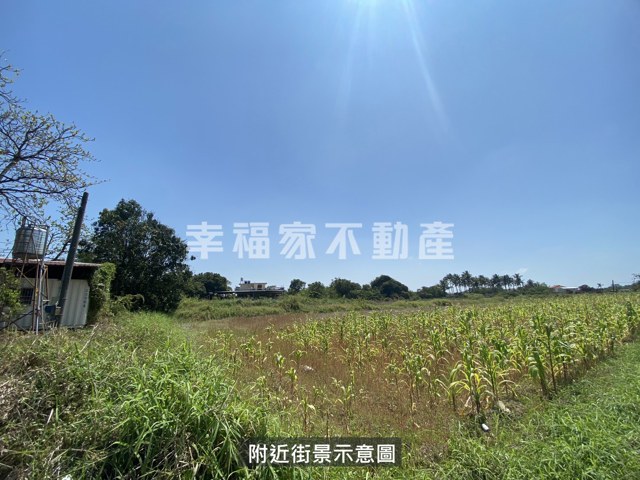 歸仁區段徵收210農地 照片 15