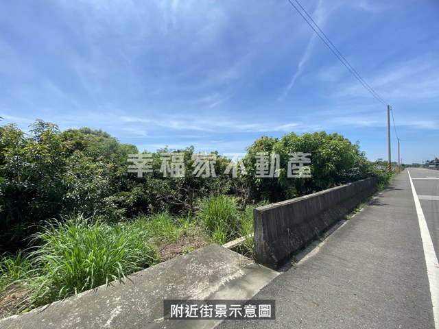 歸仁高發潛力大坪數農地 照片 4