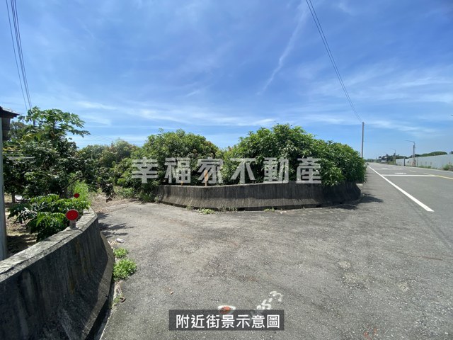 歸仁高發潛力大坪數農地 照片 8