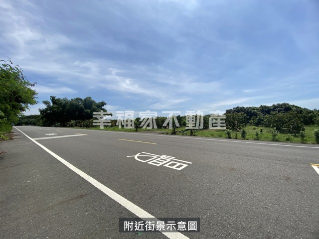 歸仁高發潛力大坪數農地 照片 9