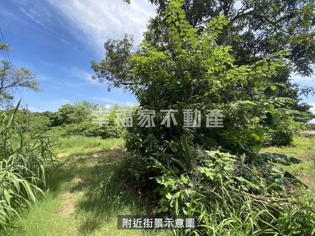 歸仁高發潛力大坪數農地 照片 12