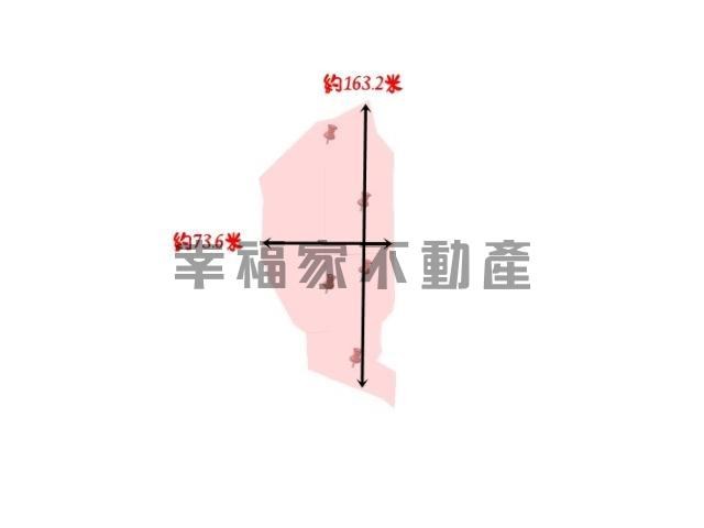 歸仁高發潛力大坪數農地 照片 16