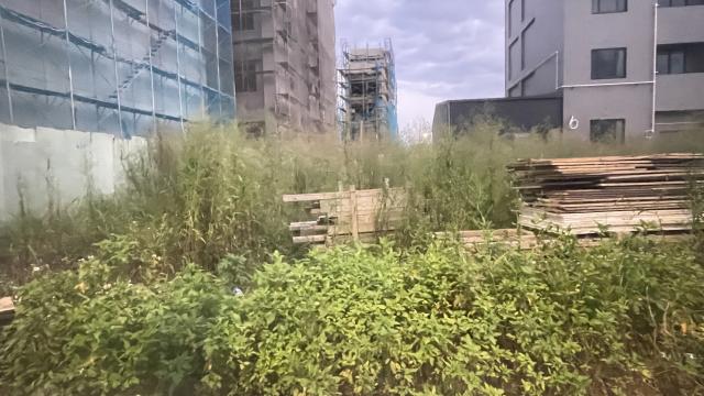 航空城房地產女王 桃園航空城機場雙捷運安置街廓 照片 3
