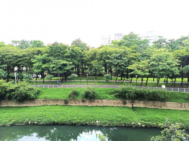 南高雄買房 大東捷運【彩虹城堡】溼地公園河畔明亮優質2房 照片 19