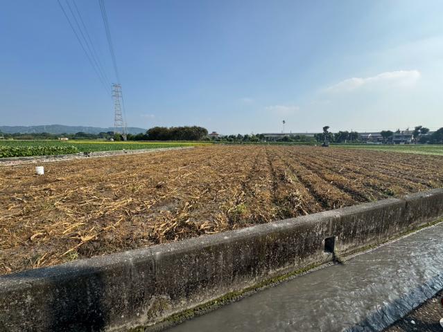 烏日買屋 雲林林內仁愛段臨路大面寬農地 照片 3