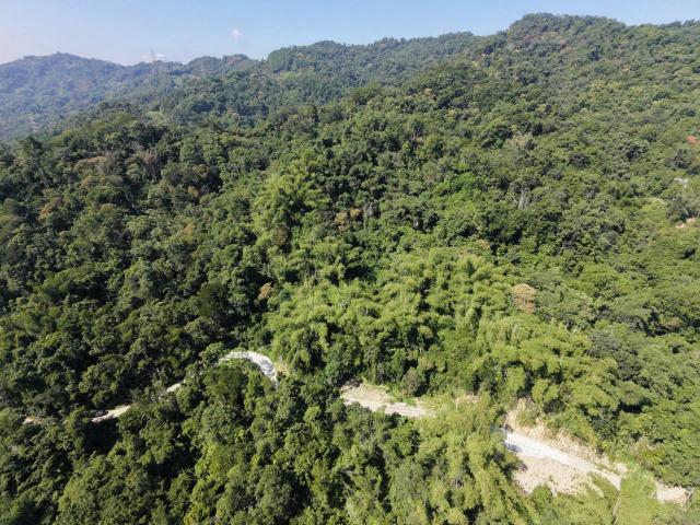 台中買屋賣房鹿谷秀峰農場旁坪子頂段建地農林土地王劉志忠 照片 6