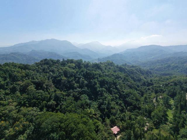 台中買屋賣房鹿谷秀峰農場旁坪子頂段建地農林土地王劉志忠 照片 11