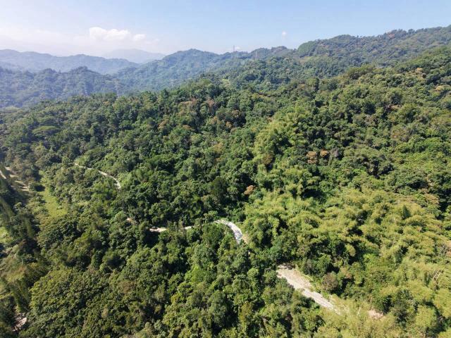 台中買屋賣房鹿谷秀峰農場旁坪子頂段建地農林土地王劉志忠 照片 7