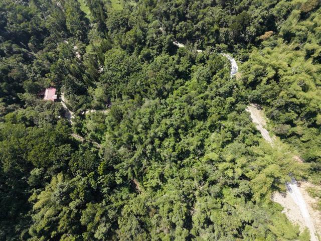 台中買屋賣房鹿谷秀峰農場旁坪子頂段建地農林土地王劉志忠 照片 8