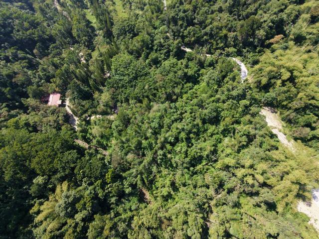 台中買屋賣房鹿谷秀峰農場旁坪子頂段建地農林土地王劉志忠 照片 16