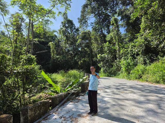 台中買屋賣房鹿谷秀峰農場旁坪子頂段建地農林土地王劉志忠 照片 3