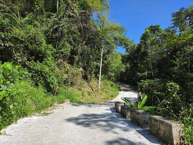 台中買屋賣房鹿谷秀峰農場旁坪子頂段建地農林土地王劉志忠 照片 18