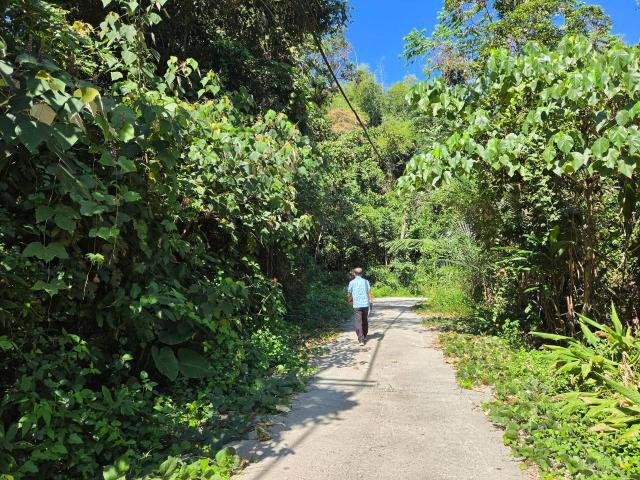 台中買屋賣房鹿谷秀峰農場旁坪子頂段建地農林土地王劉志忠 照片 19