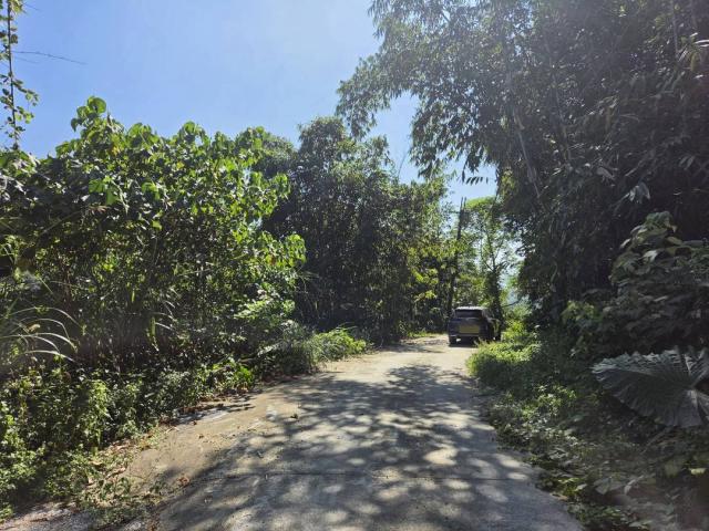 台中買屋賣房鹿谷秀峰農場旁坪子頂段建地農林土地王劉志忠 照片 20