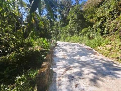 台中買屋賣房鹿谷秀峰農場旁坪子頂段建地農林土地王劉志忠 照片 21
