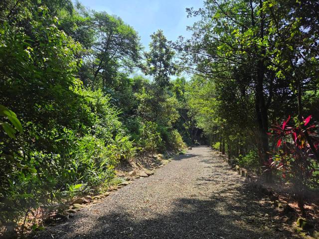 台中買屋賣房竹山近南雲交流道旁德興段有水電送木屋竹山近南雲交流道德興段有水電送木屋 照片 9