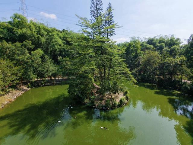 台中買屋賣房竹山近南雲交流道旁德興段有水電送木屋竹山近南雲交流道德興段有水電送木屋 照片 23