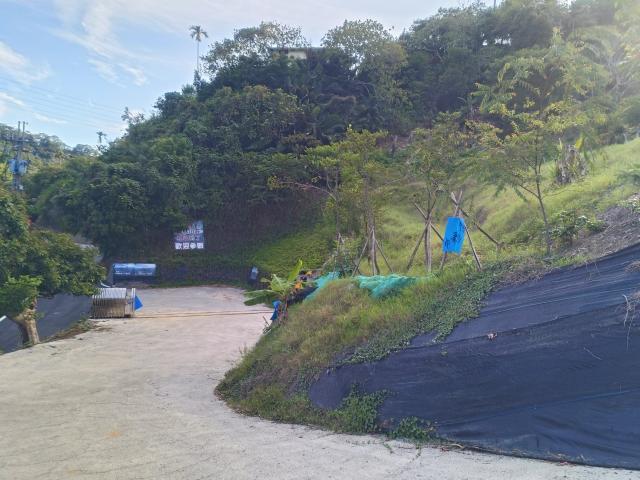 台中買屋賣房霧峰區桐林山莊一期中坑休閒景觀農地(3) 照片 3