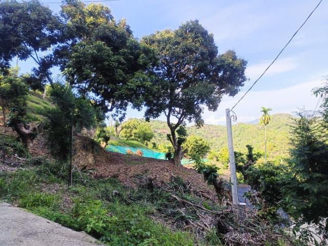 台中買屋賣房霧峰區桐林山莊一期中坑休閒景觀農地(3) 照片 10