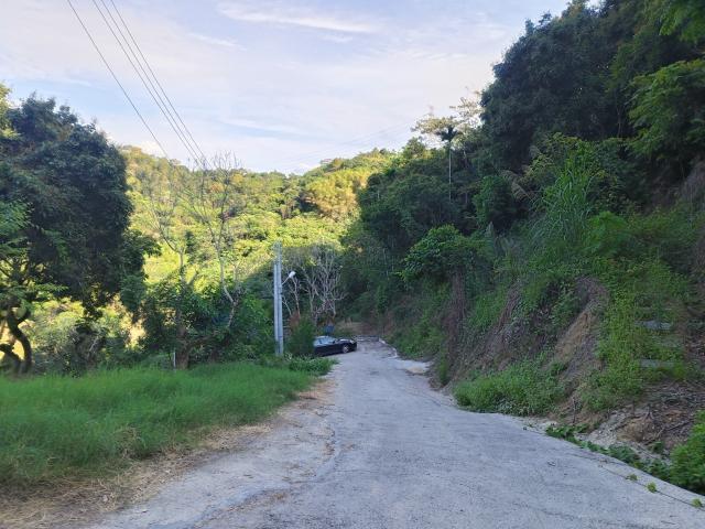 台中買屋賣房霧峰區桐林山莊一期中坑休閒景觀農地(3) 照片 11