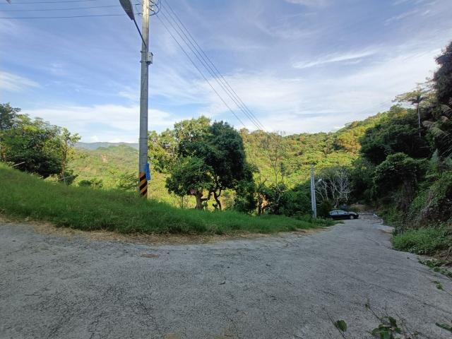 台中買屋賣房霧峰區桐林山莊一期中坑休閒景觀農地(3) 照片 12